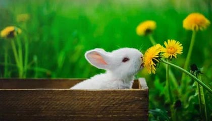 kaiyun.com-【未来赛事】全球最大规模的台球锦标赛即将开幕，台球国际锦标赛